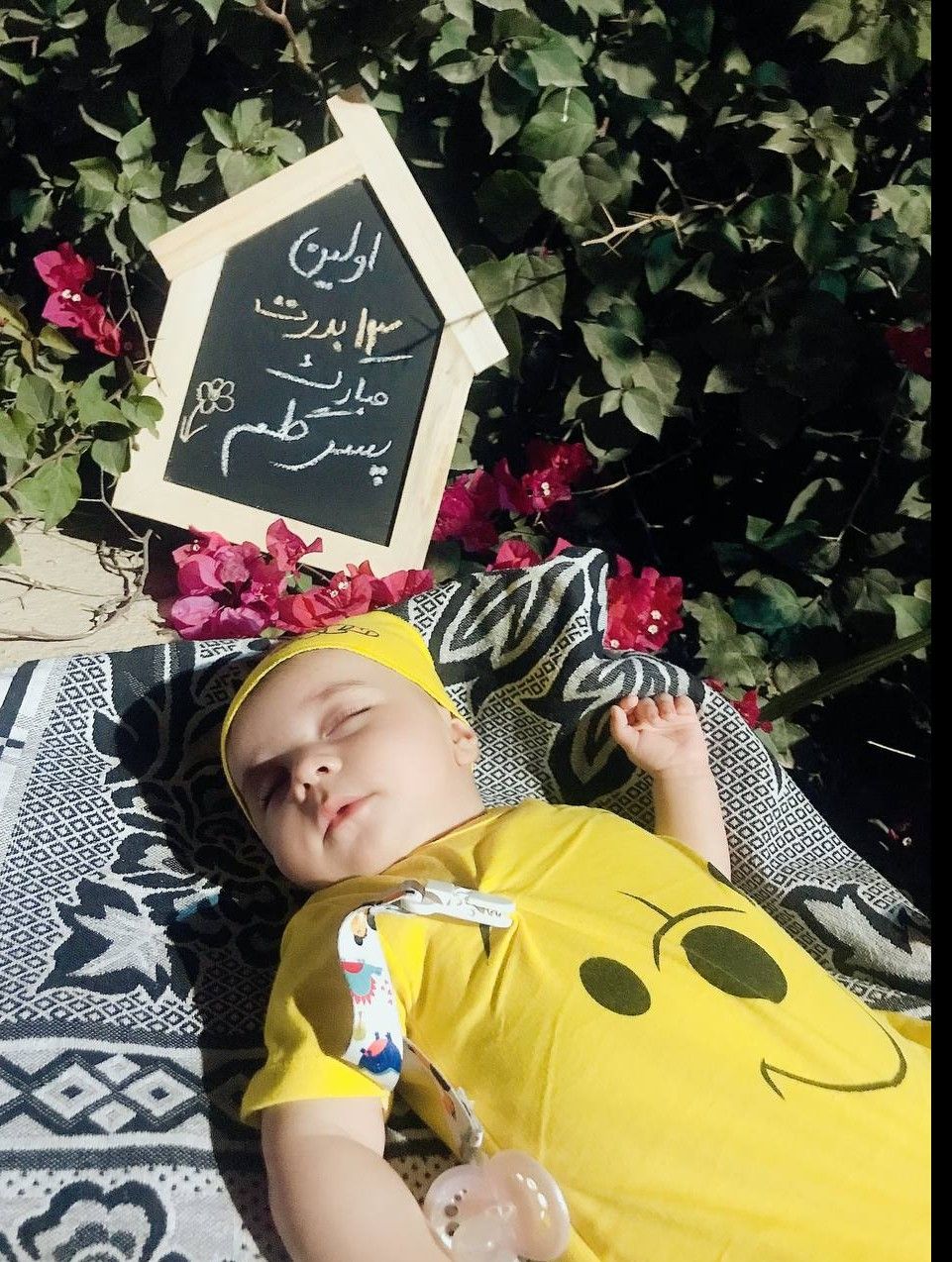 عکس سیزده بدر امیرمحمد رومی نژاد