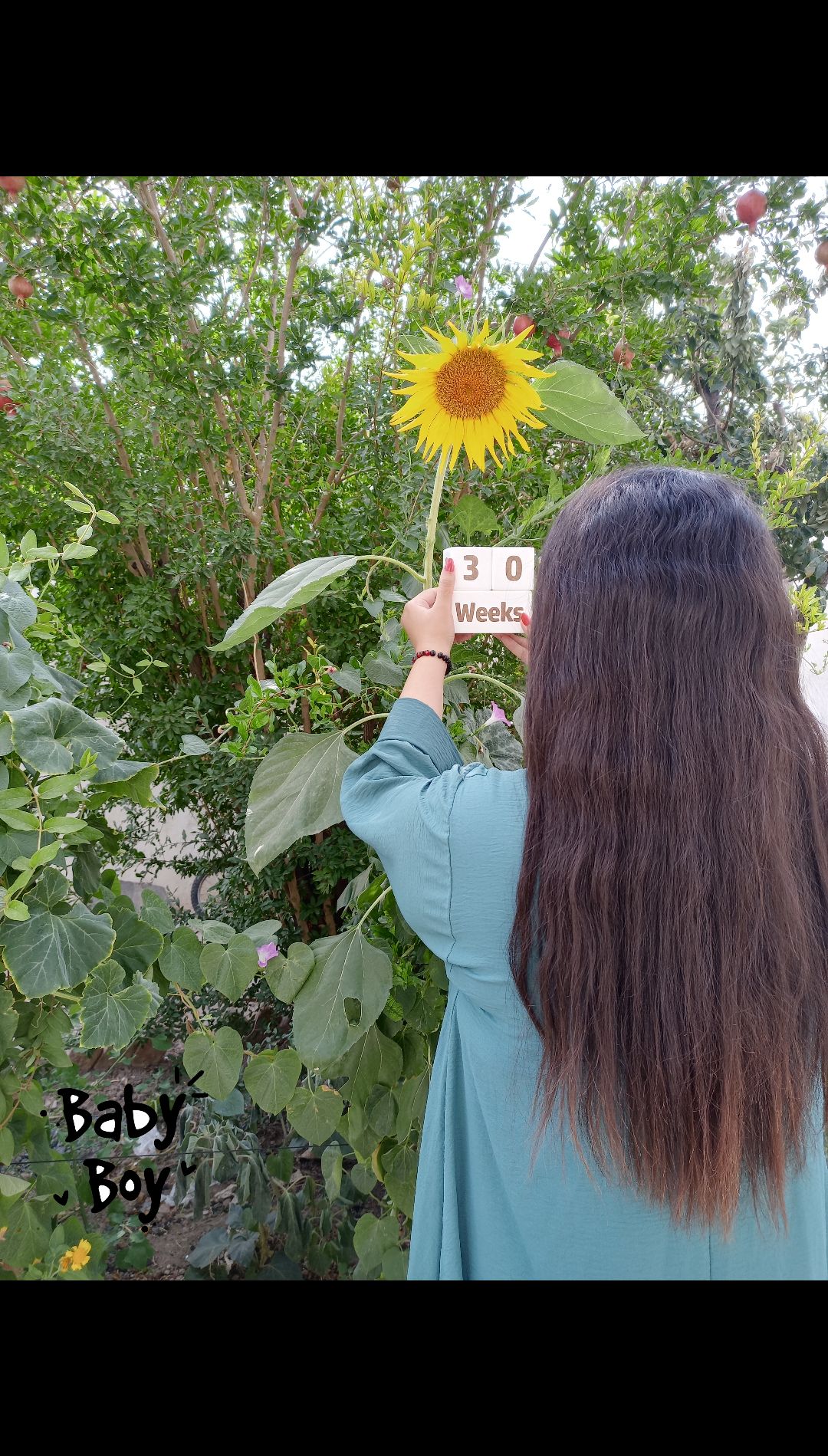 بارداری برسام سیفی کناری