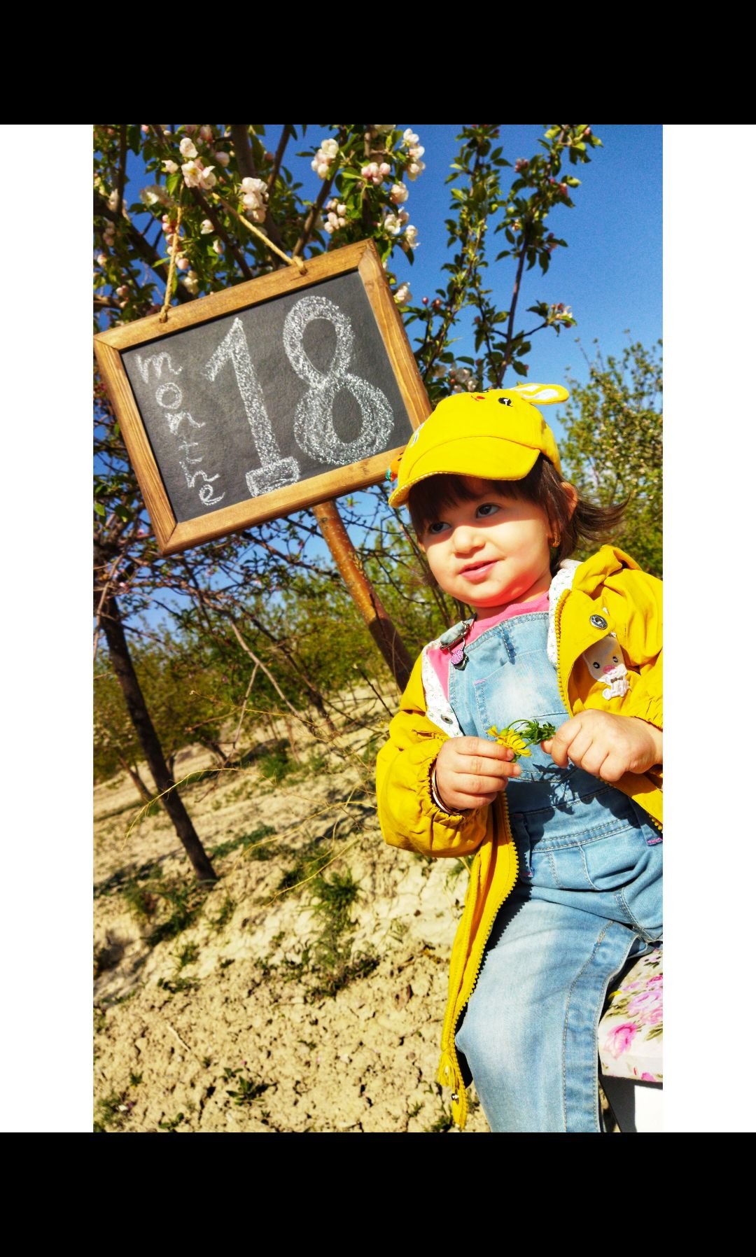 یک-و-نیم-سالگی نورا