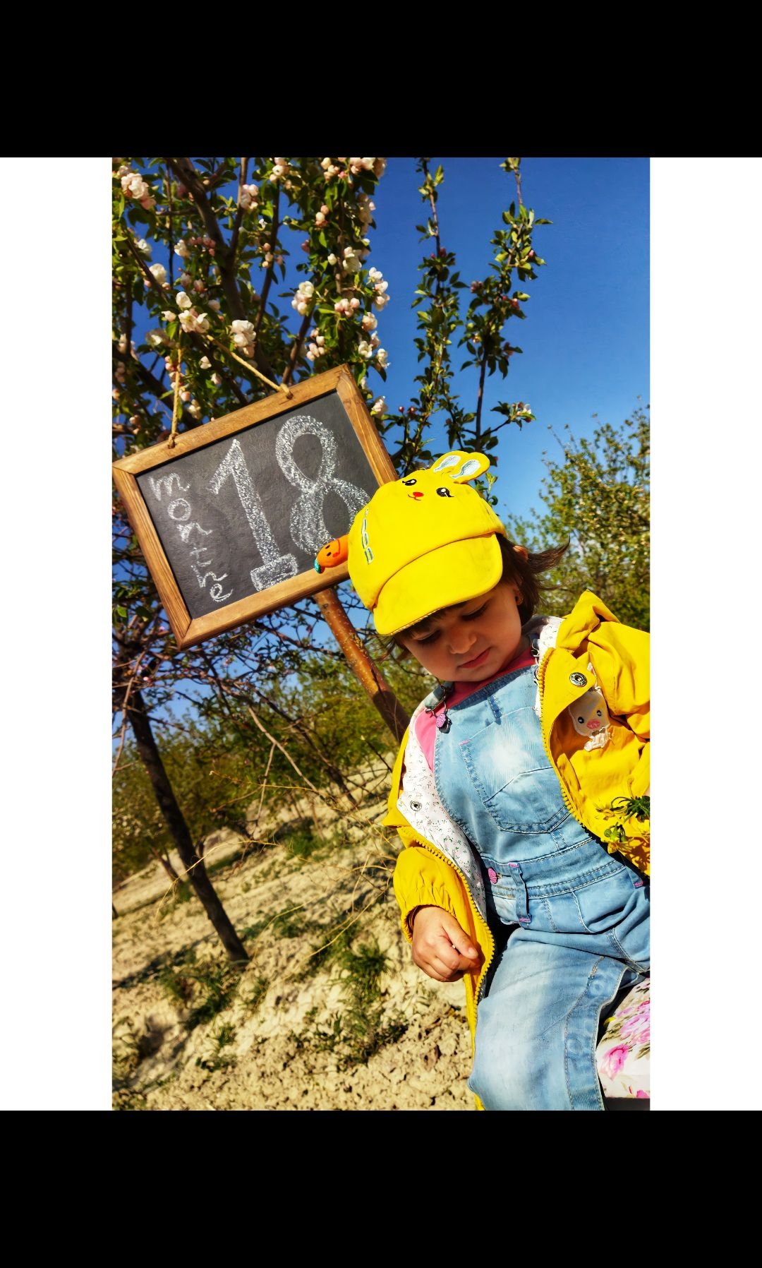 اردیبهشت نورا