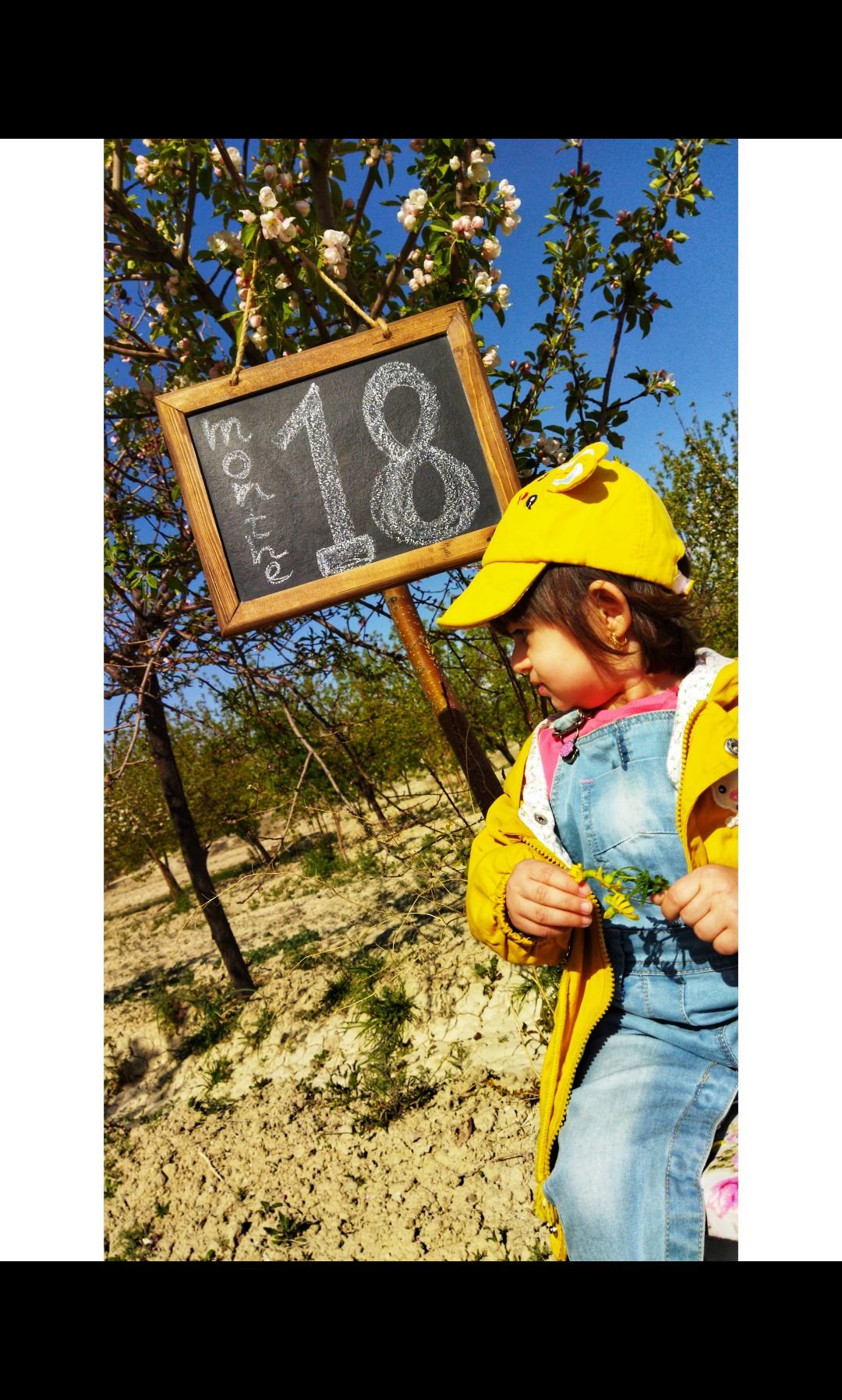 یک-و-نیم-سالگی نورا