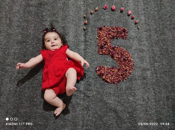 آلبوم خاطرات کودکی آلا نظری