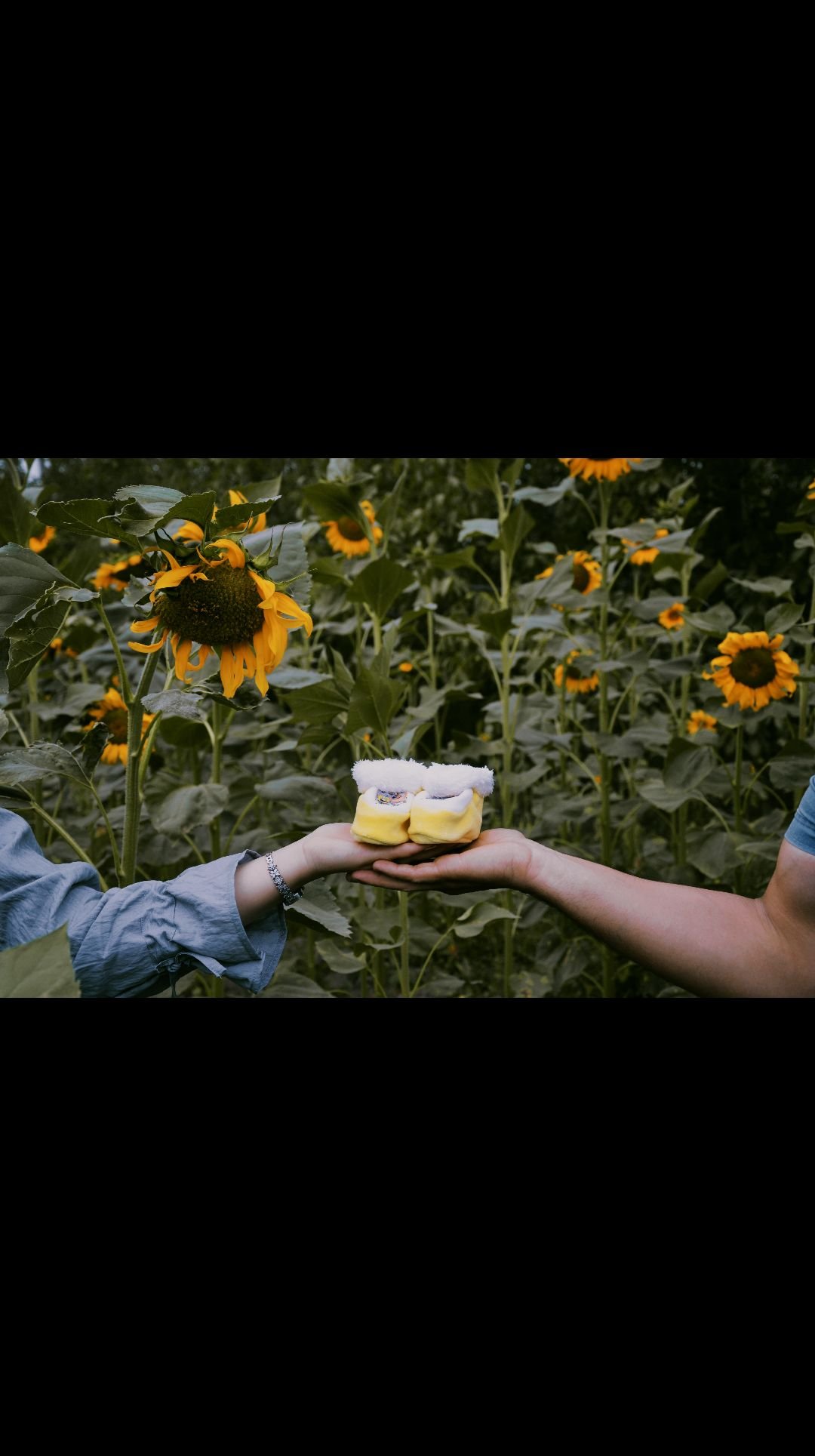 ایده محمد علی بک زاده