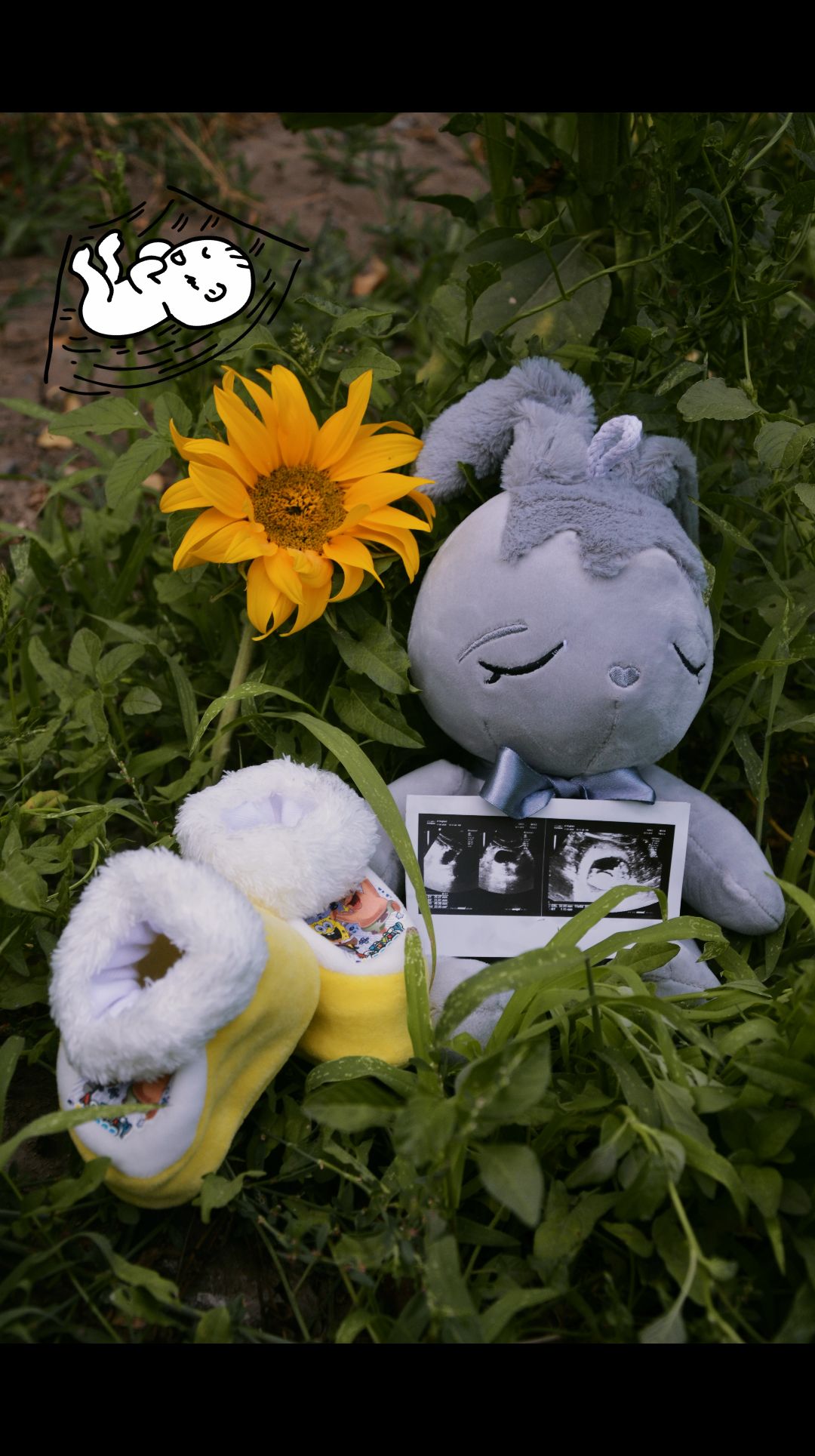 ایده محمد علی بک زاده