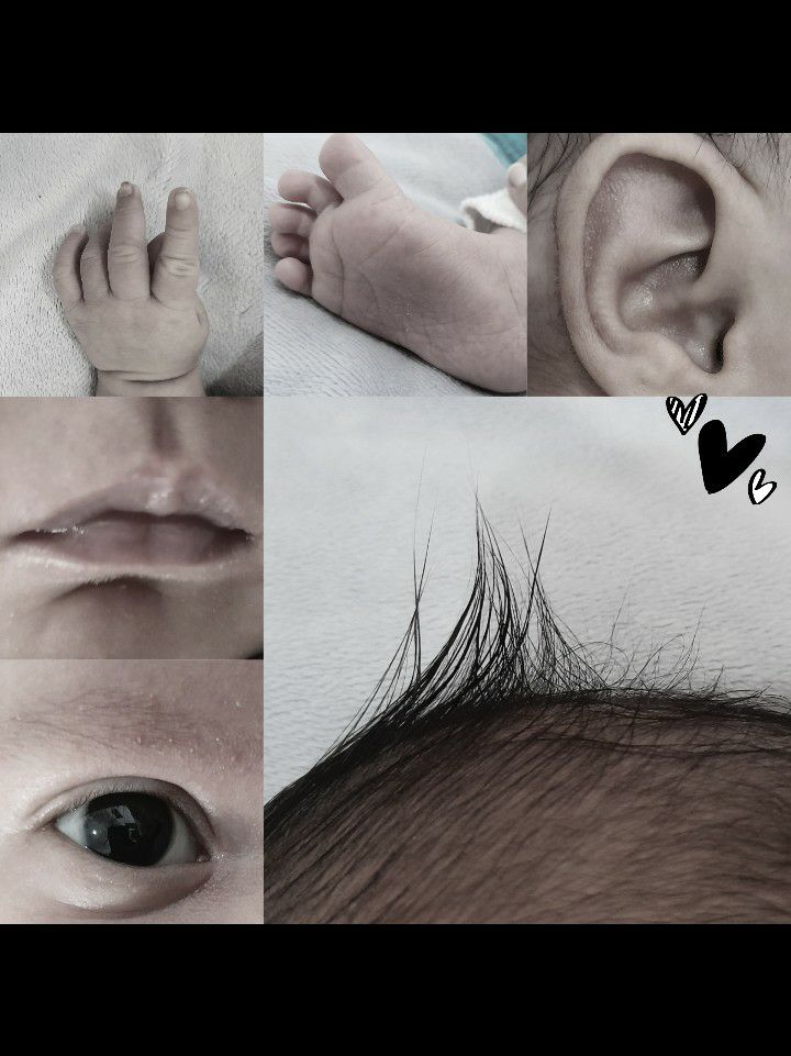 لب محمدحسام