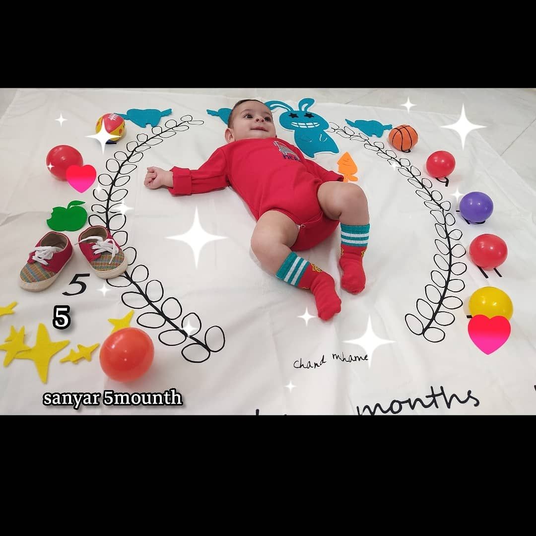 پنج-ماهگی سانیار