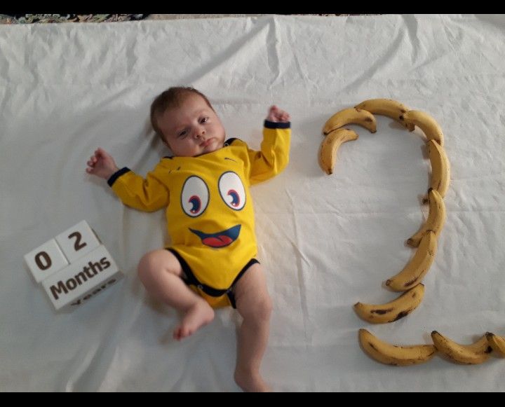 عکاسی با میوه آرشام قادری