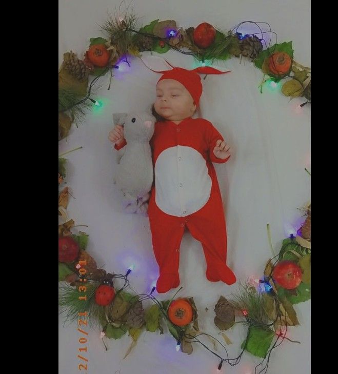 پاییز-زردی-برگ-ها آرشام قادری