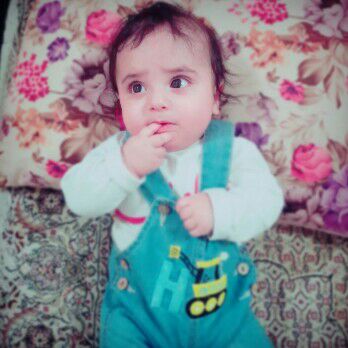 پنج-ماهگی سام عمروندی