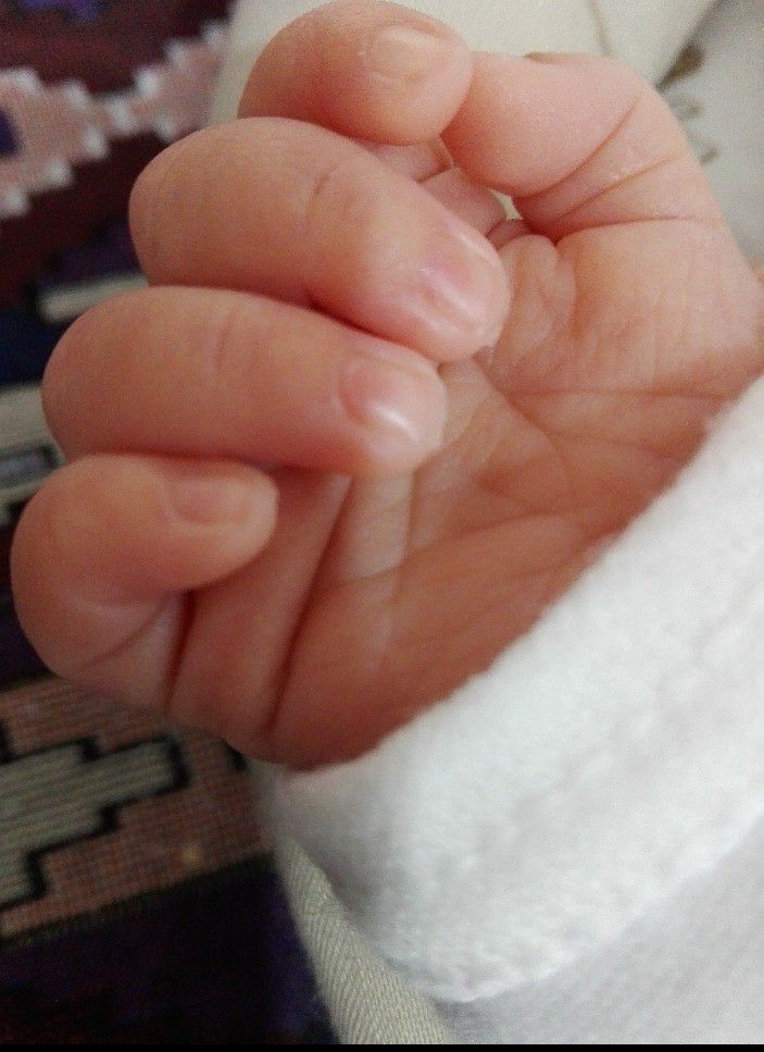 عکس نوزاد دختر پانیذ