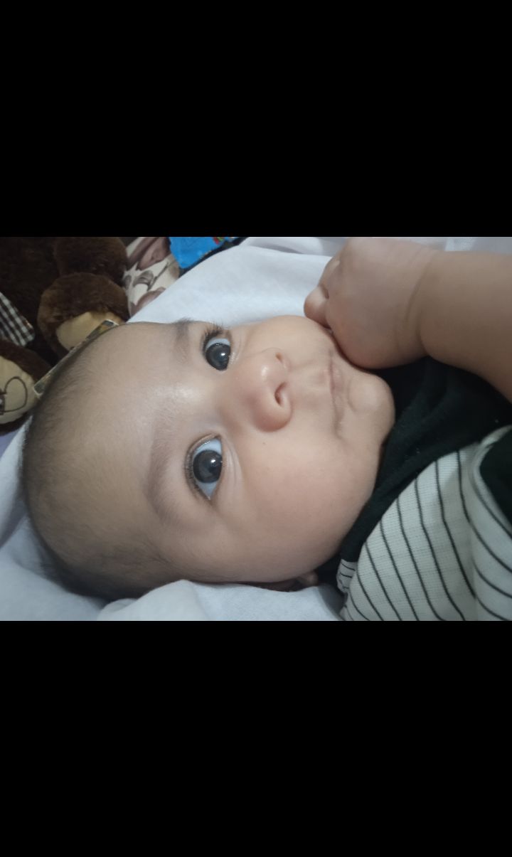 صورت محمدپارسا کریمی فرد