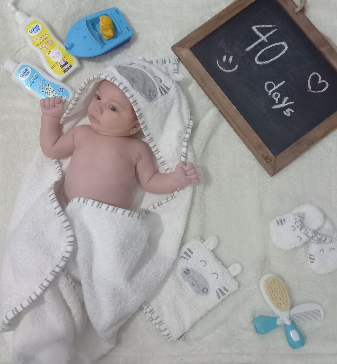 چهل روزگی رادوین زمانی