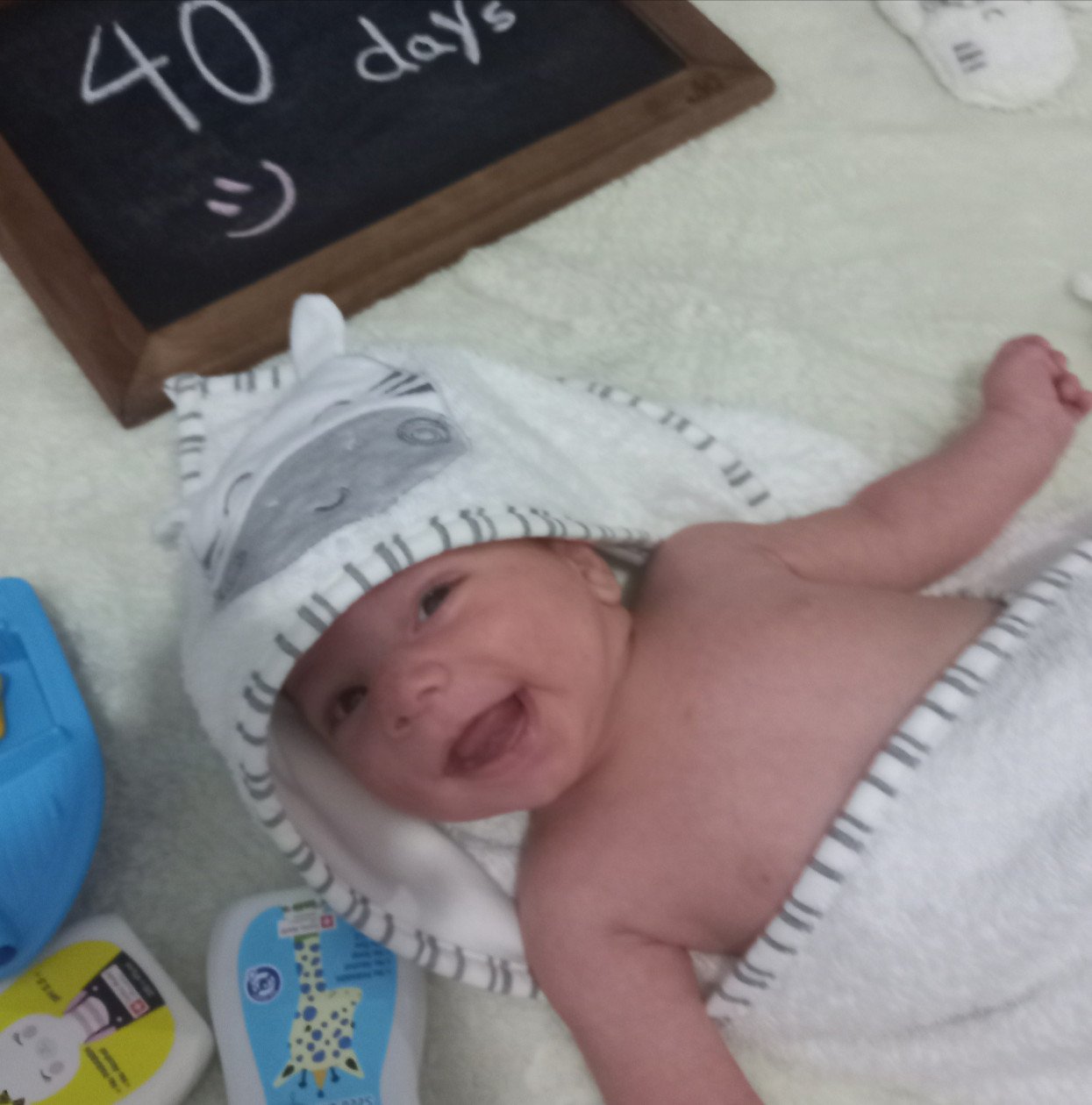 پارچه ماهگرد طرح حلقه تمشک رادوین زمانی