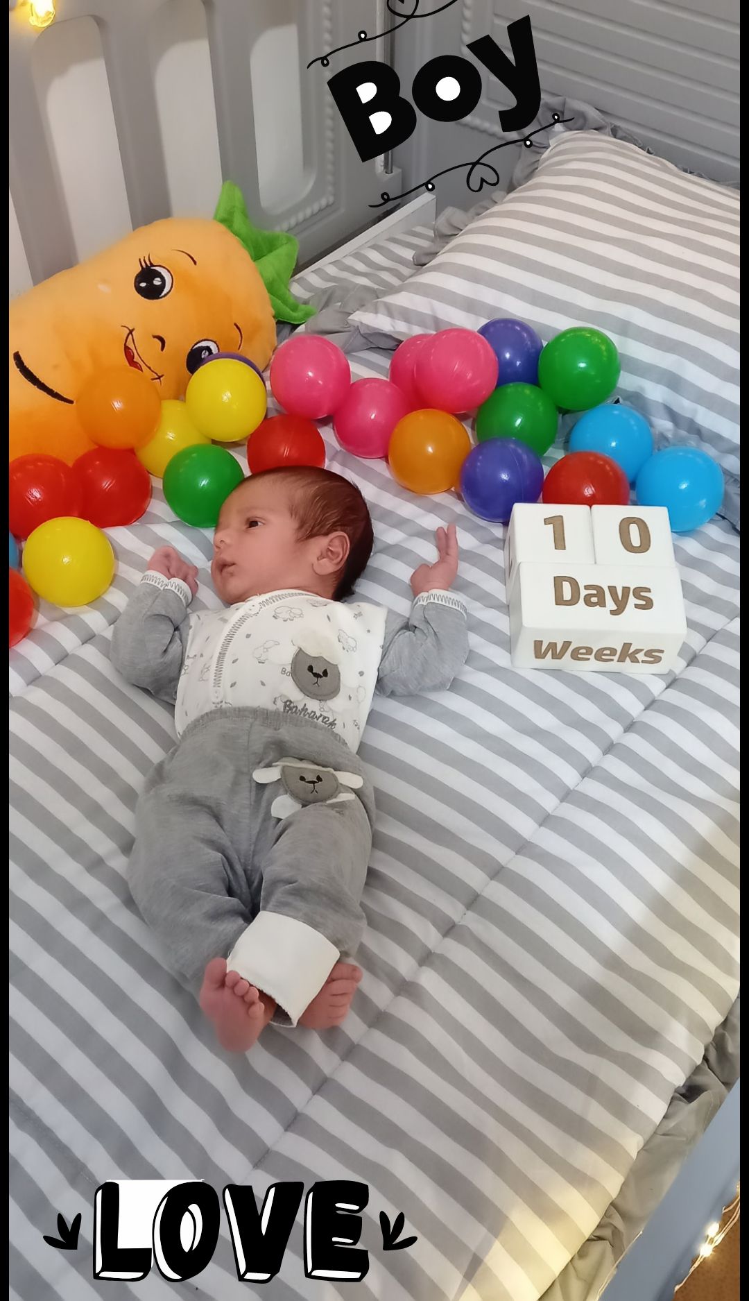 خلاقیت کیان