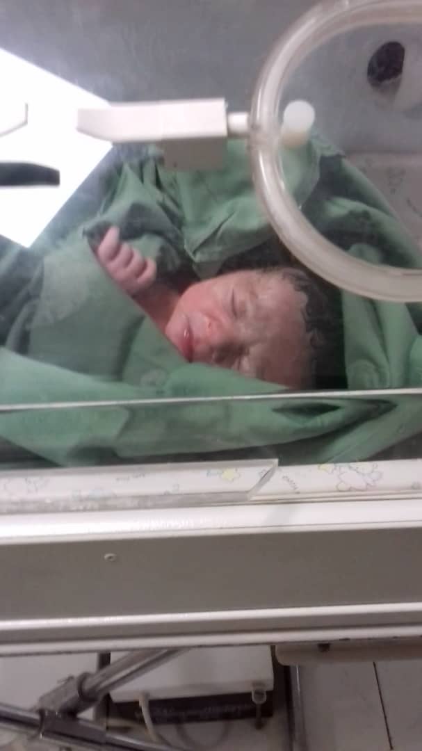 تم عکس تابستانی کودک شاهان شبانی نایینی