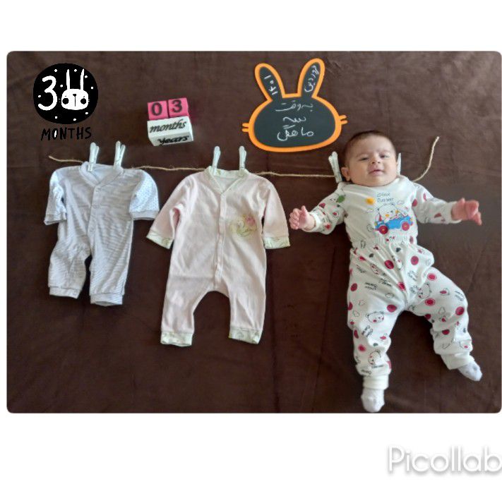 تخته-سیاه-خرگوشی-54816