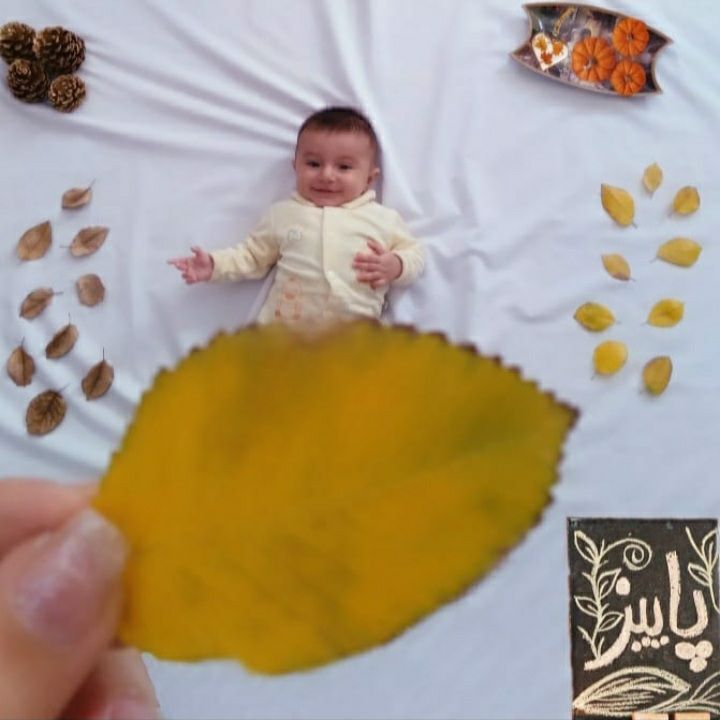 اردیبهشت لاوین علیانسب