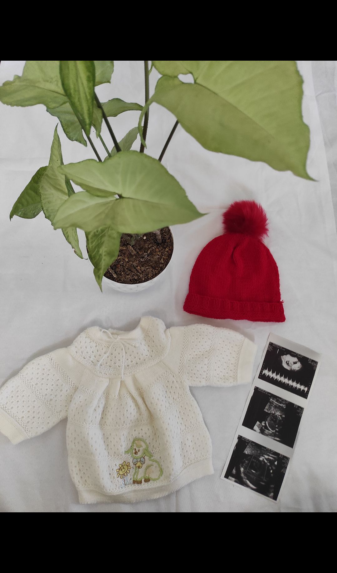 ایده celin_khanom