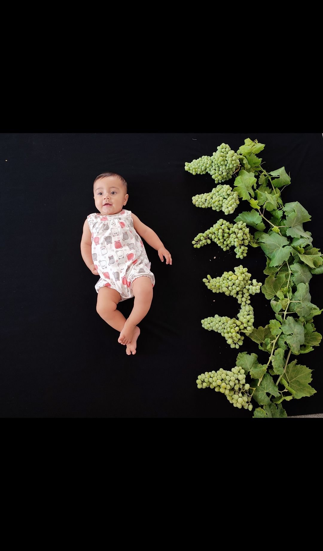 تم عکس تابستانی کودک پناه بزرگی