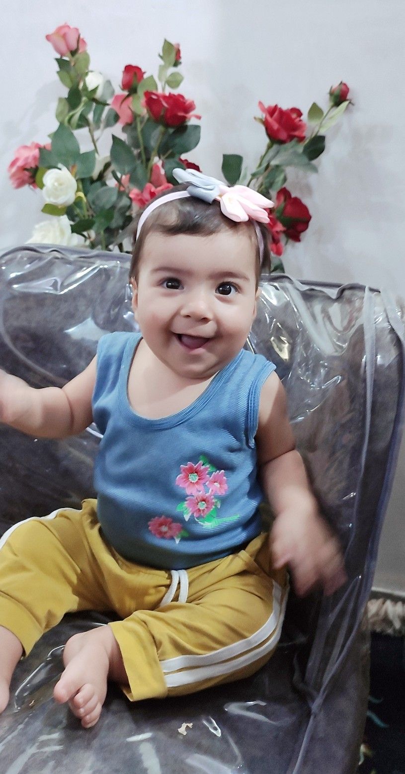 جوجه هانا مددی