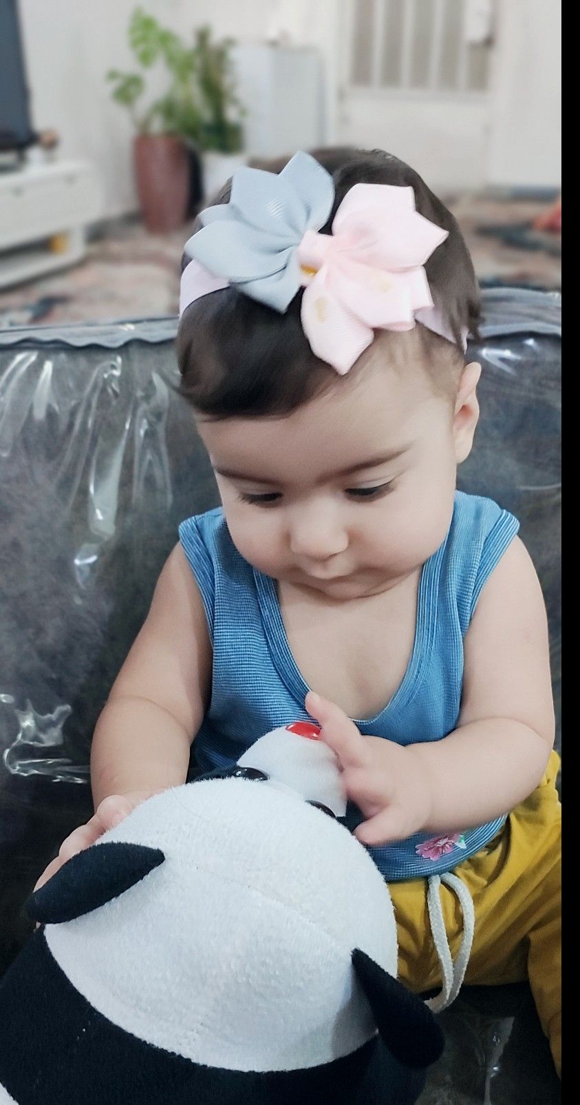 جوجه هانا مددی