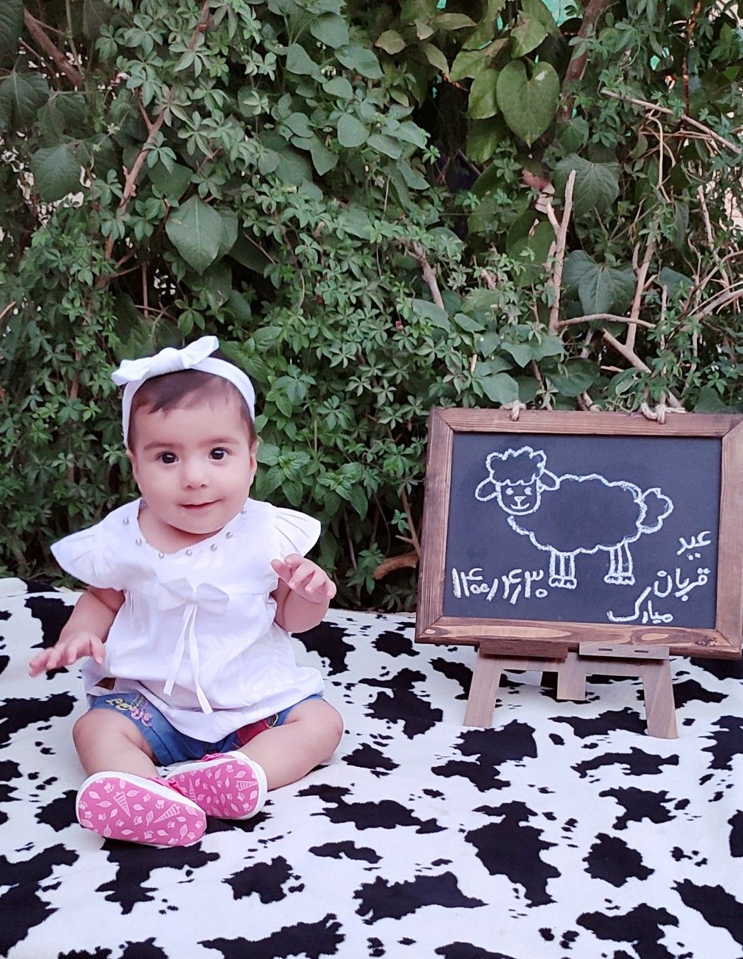 عید-قربان هانا مددی