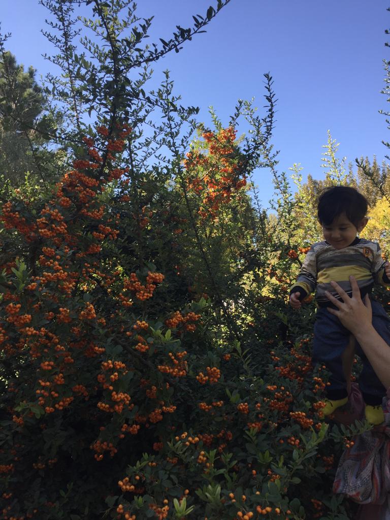 یازده ماهگی نوزاد آرسین عبدل همایونی