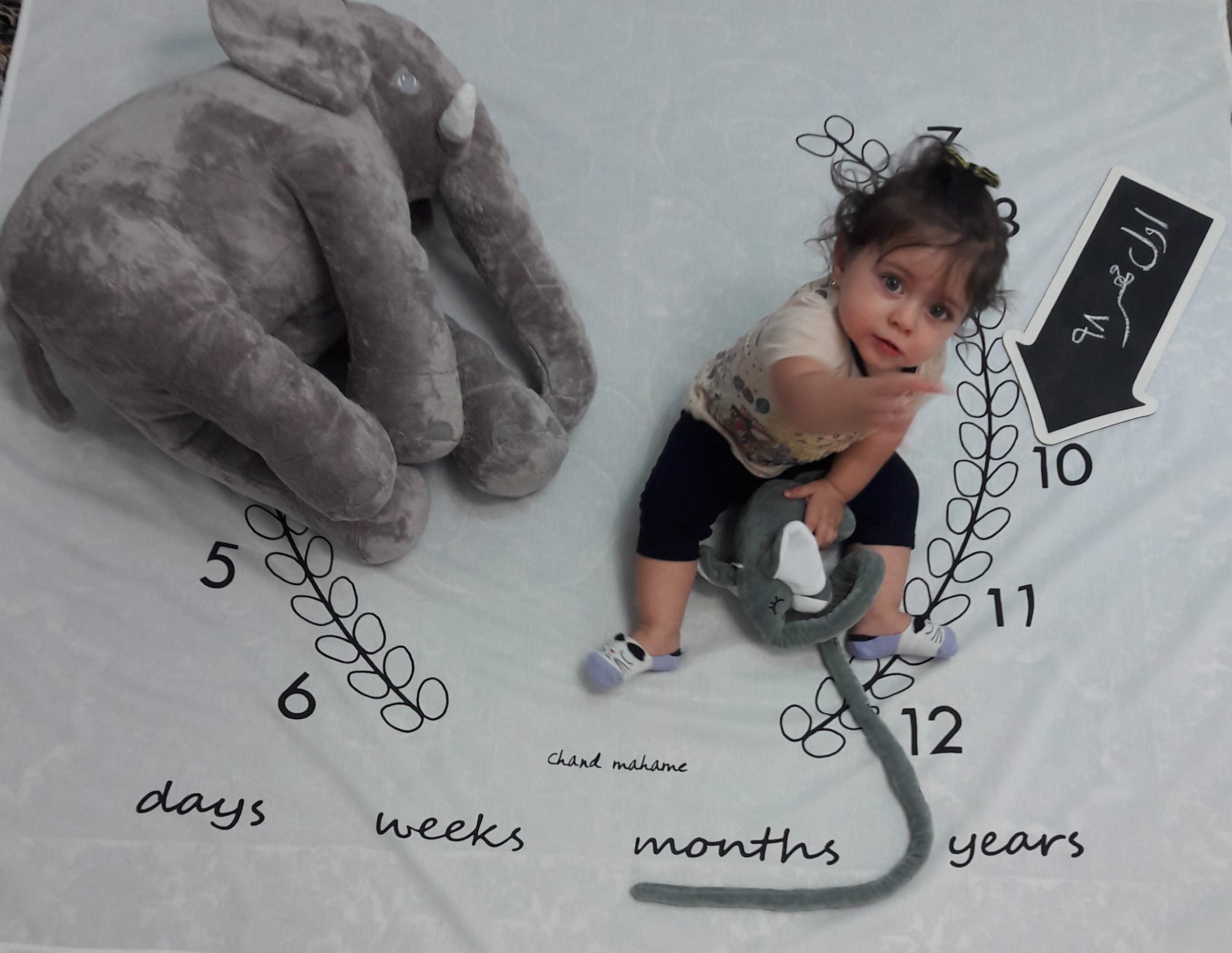 پارچه ماه شمار طرح شاخه زیتون نفس بلبل