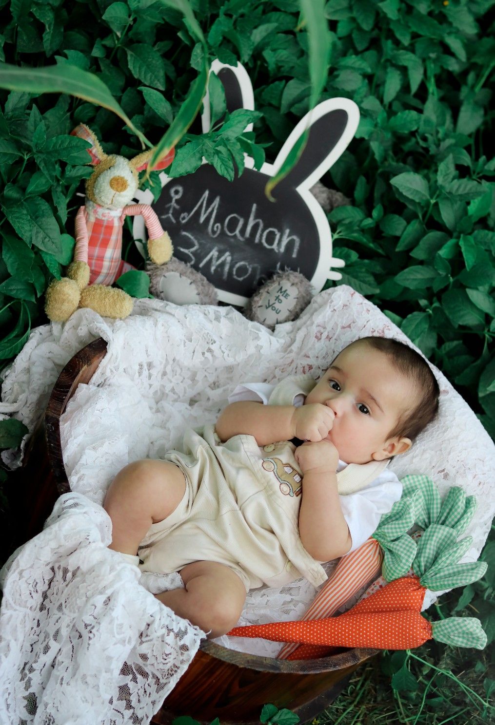 هویج پارچه‌ای mahanariankia