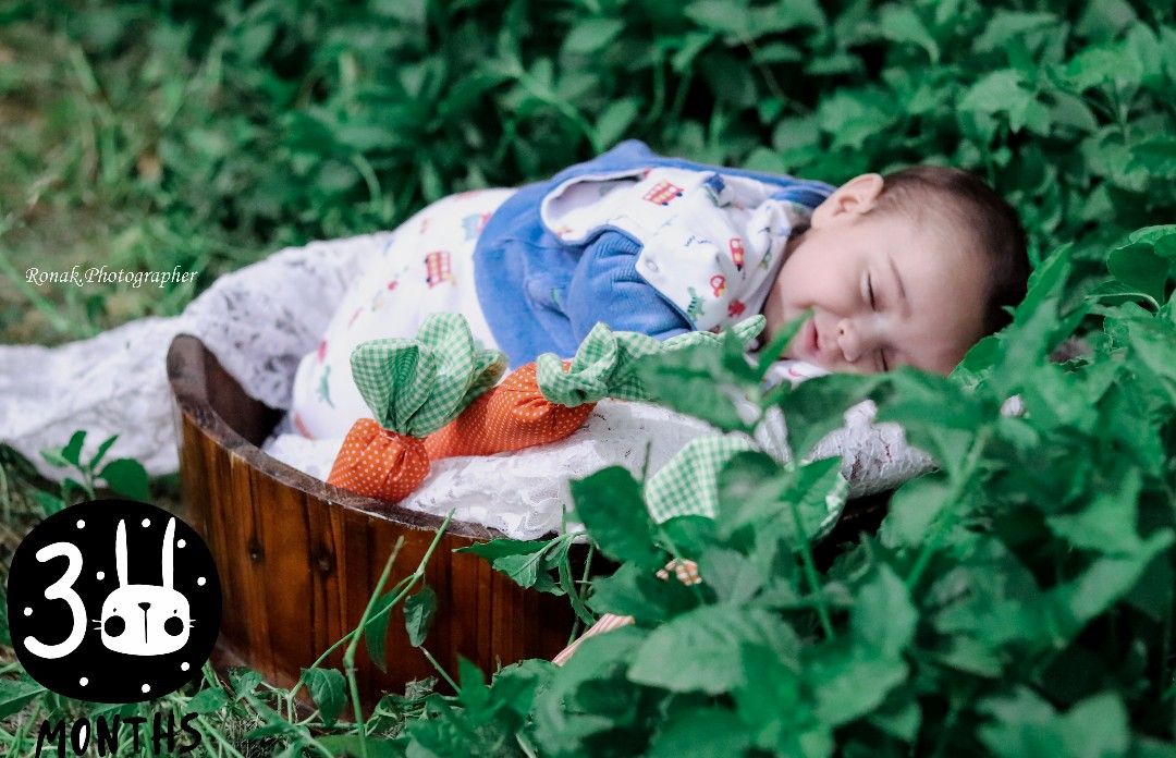 هویج پارچه‌ای mahanariankia