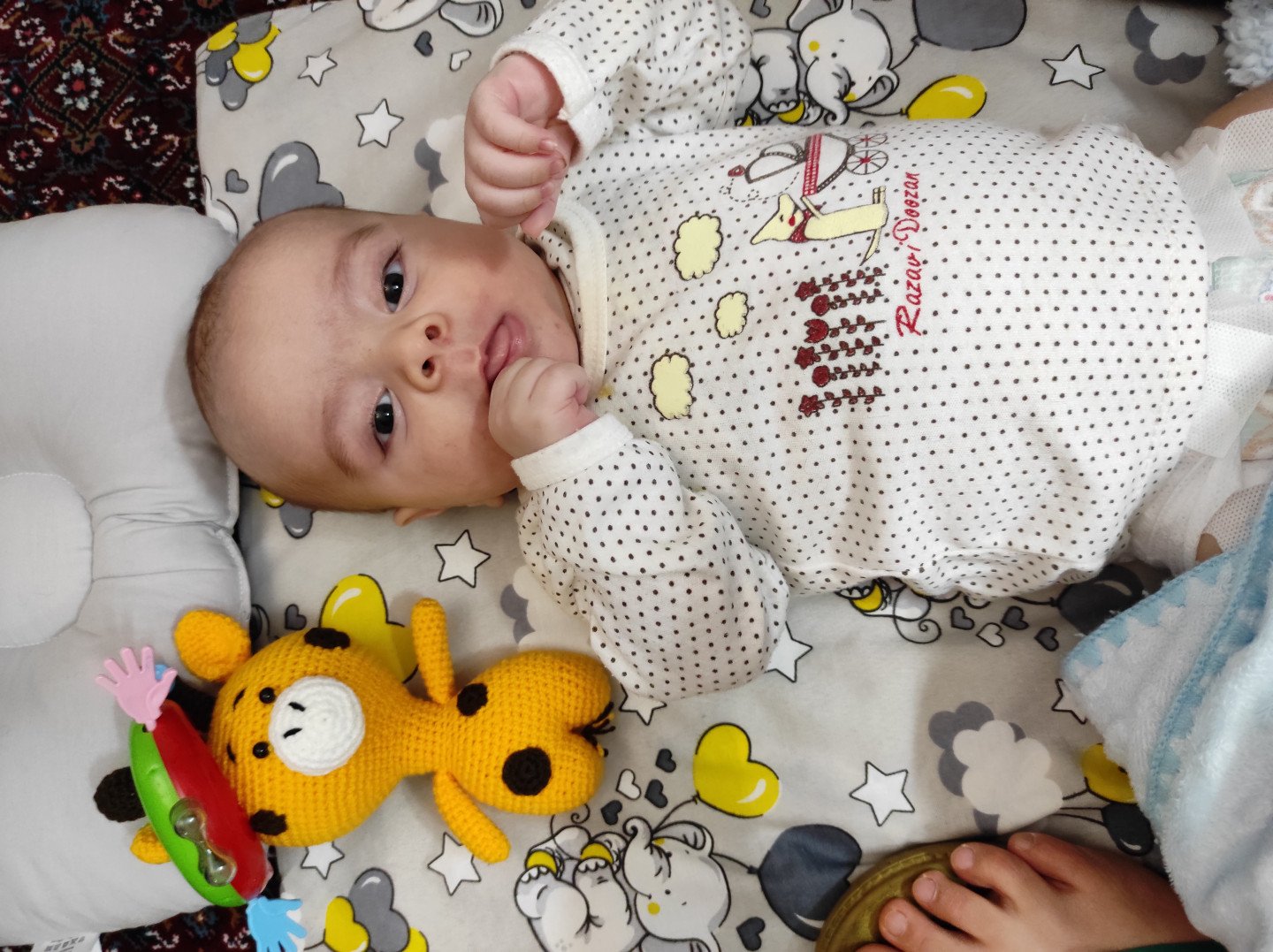 اولین خنده نوزاد شاهان رجبی