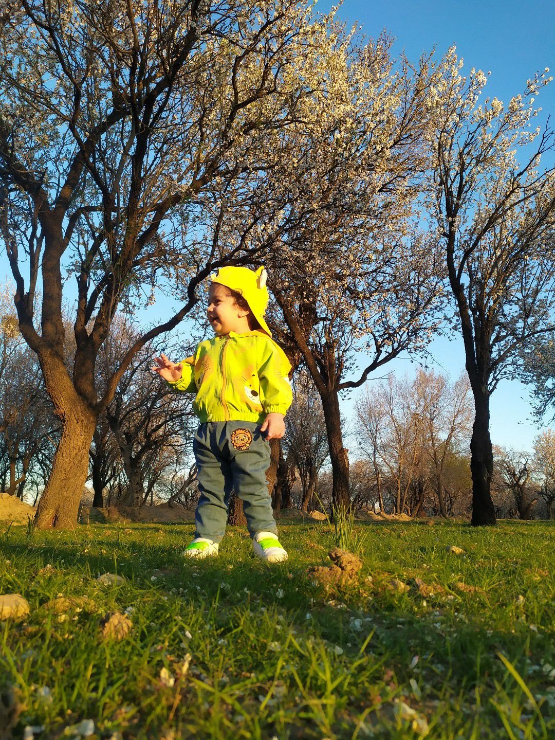 ماهان-کوچولو ماهان اکبری