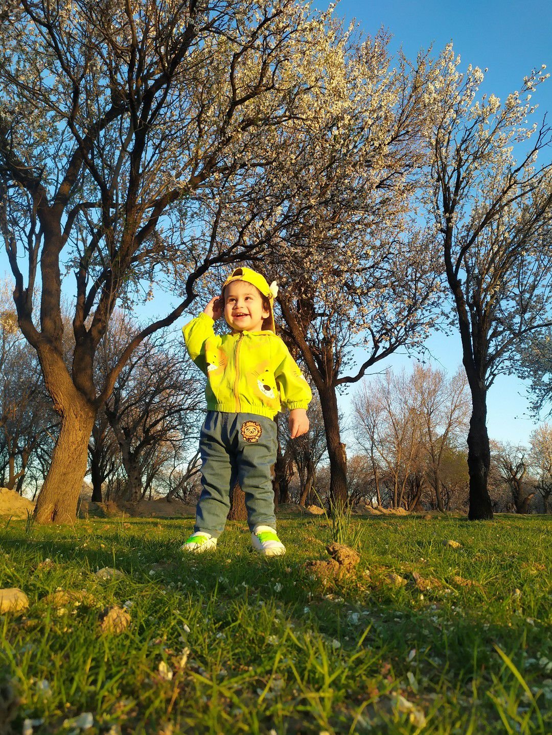 عید-نوروز ماهان اکبری