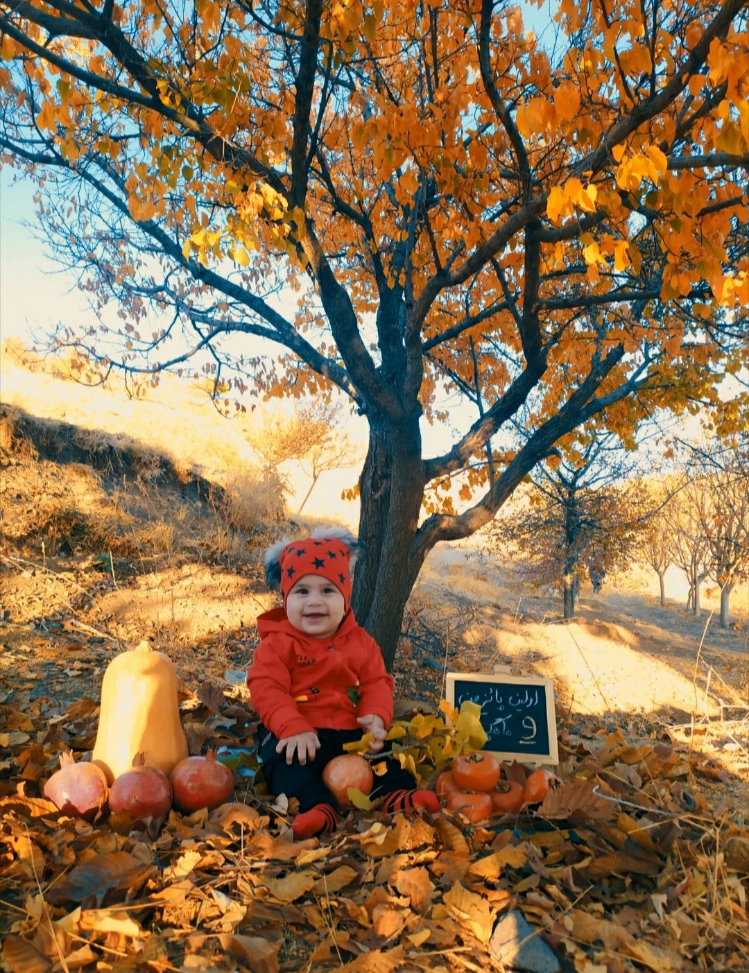 نه-ماهگیت-مبارک ماهان اکبری