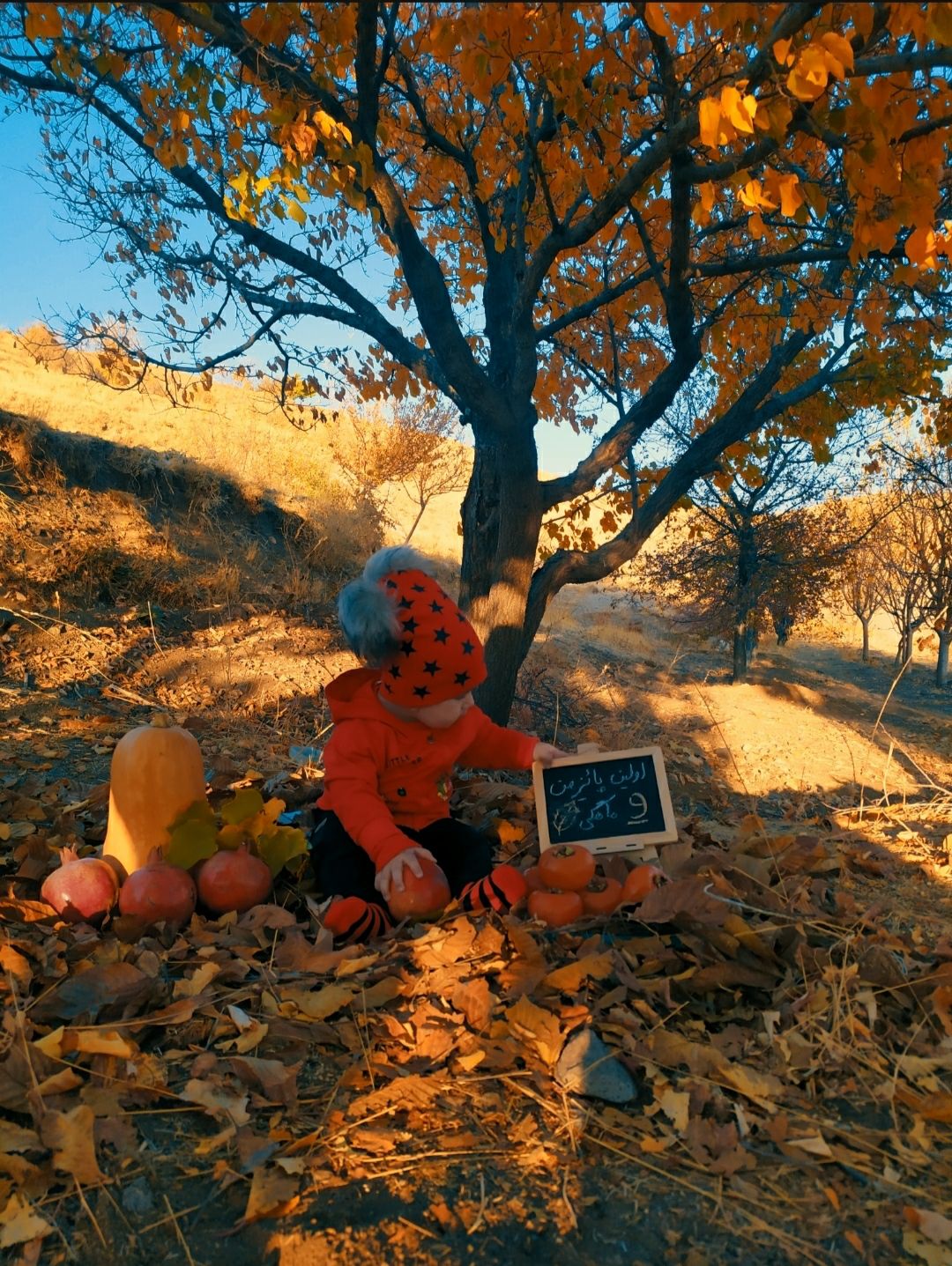 نه-ماهگیت-مبارک ماهان اکبری