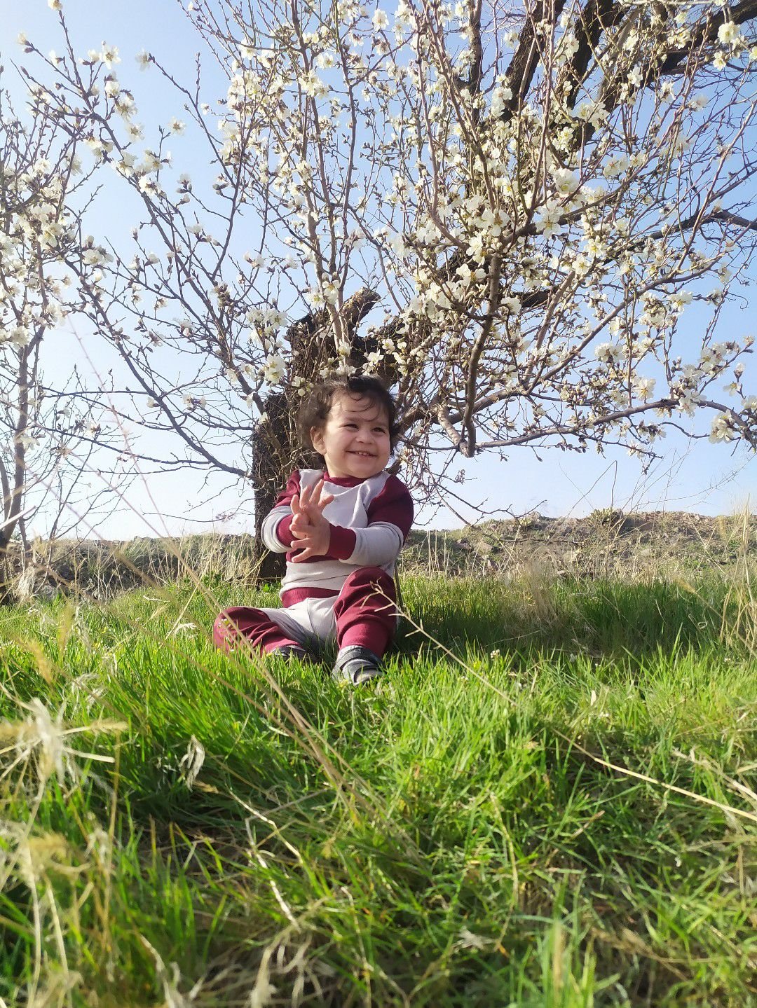 فروردین ماهان اکبری