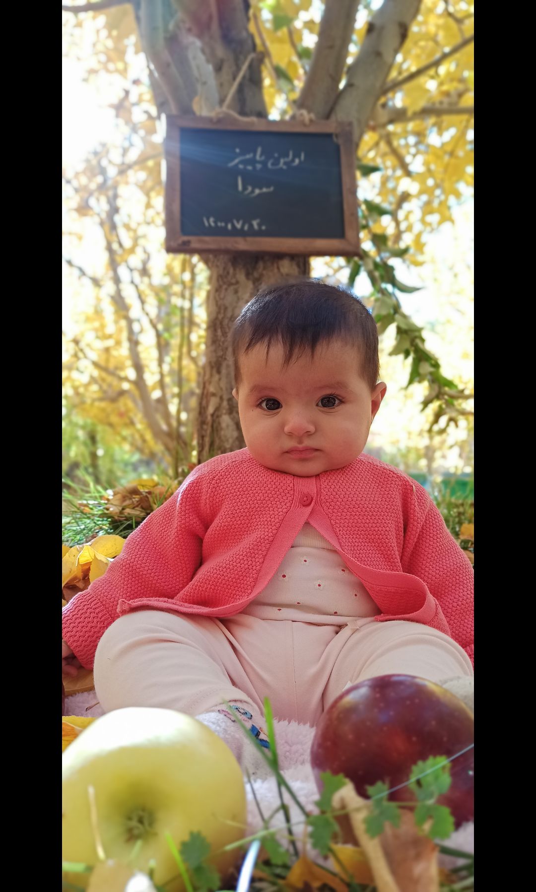 تم عکس پاییزی نوزاد سودا