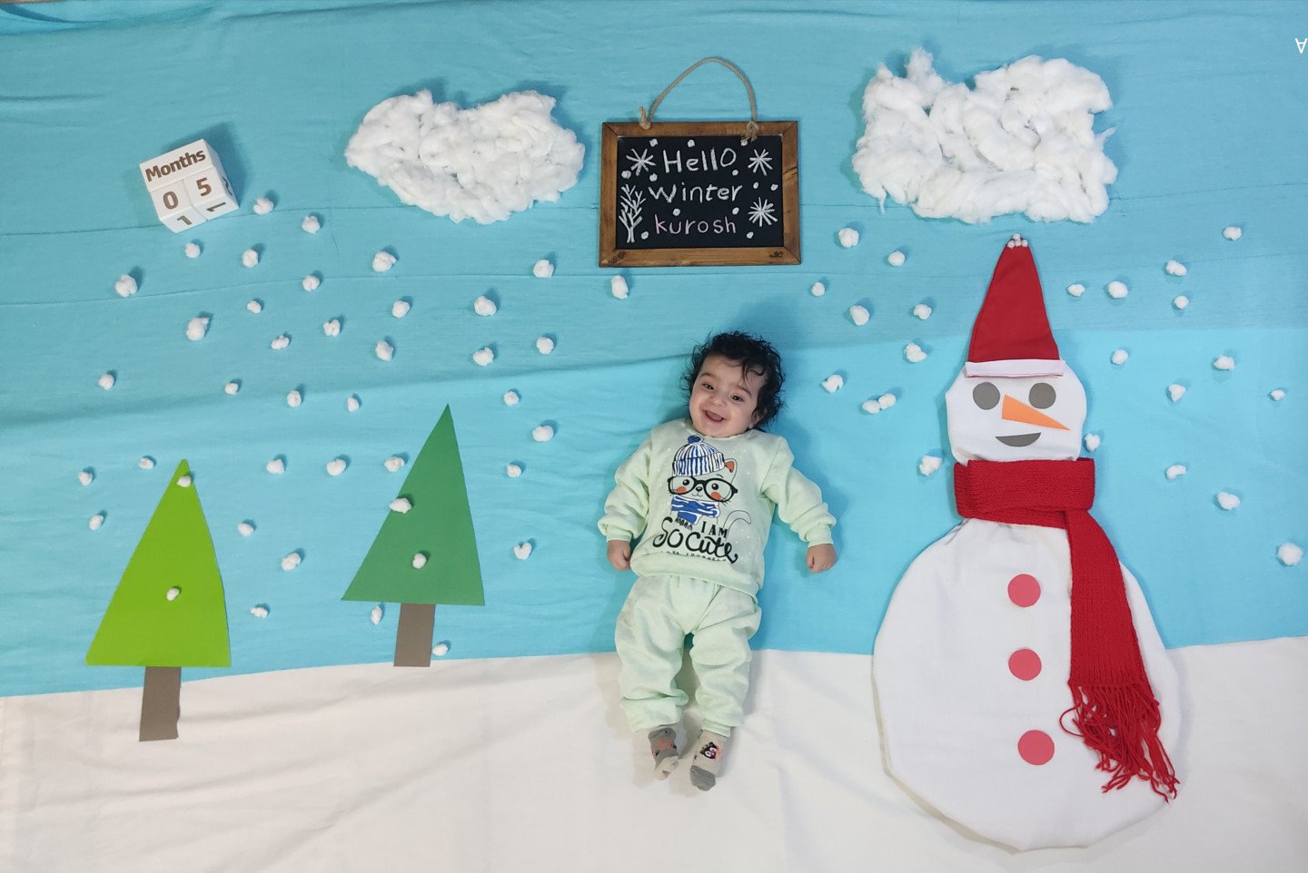 تم عکس زمستانی نوزاد کوروش اصغرپور