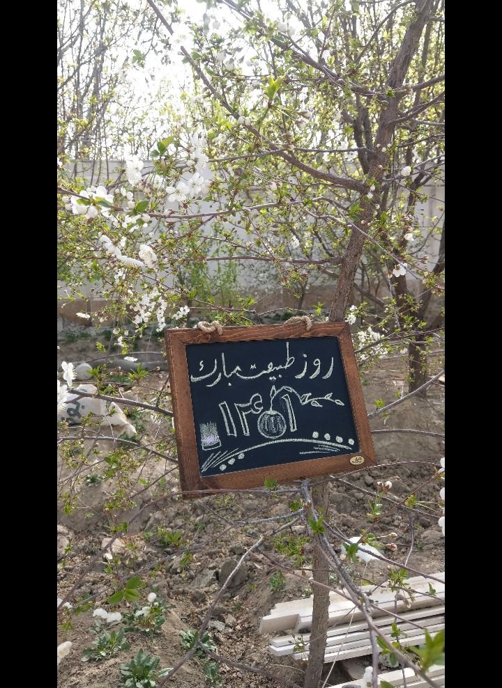 عید نوروز امیرعلی