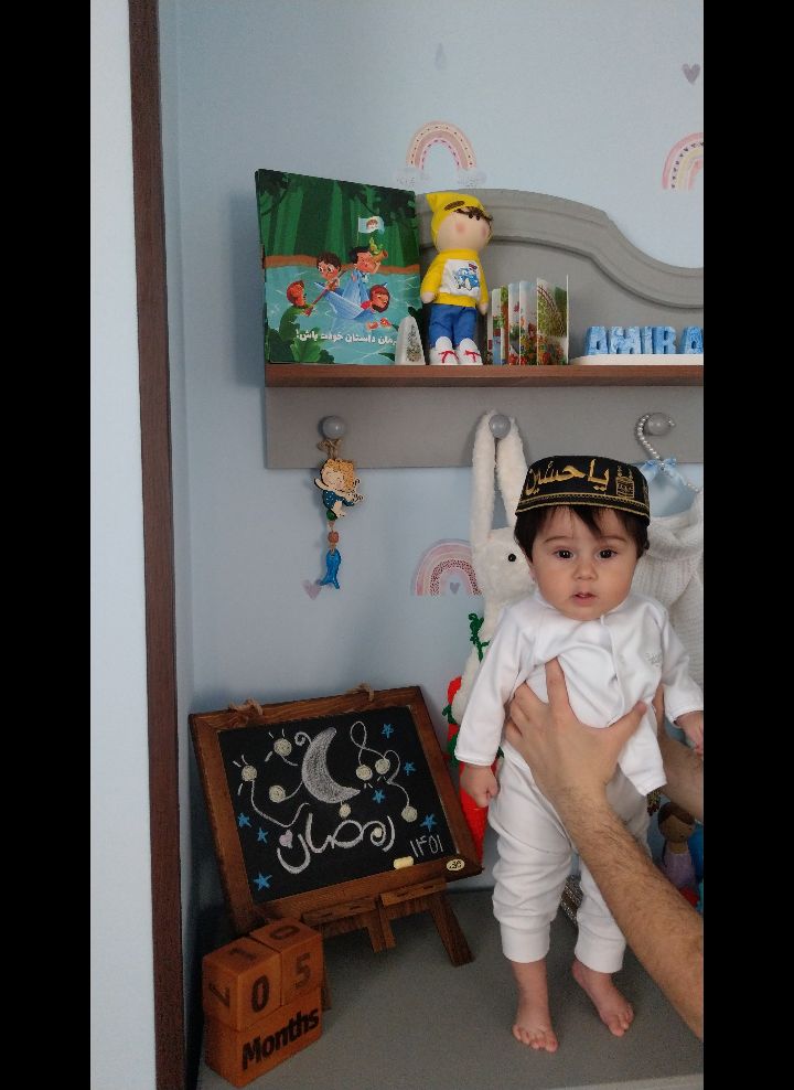 ایده امیرعلی