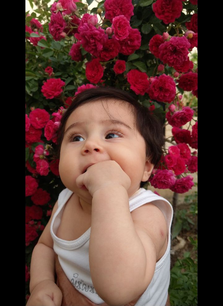 شش-ماهگیت-مبارک-عشق-مامان امیرعلی