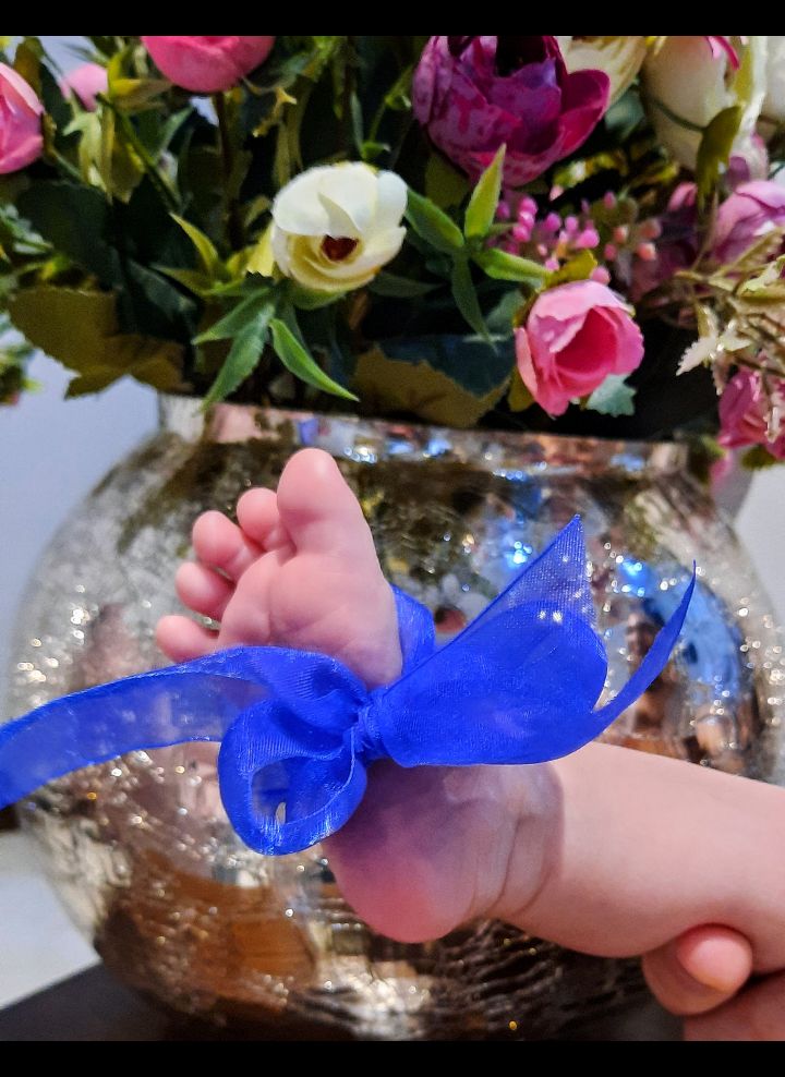 ایده امیرعلی