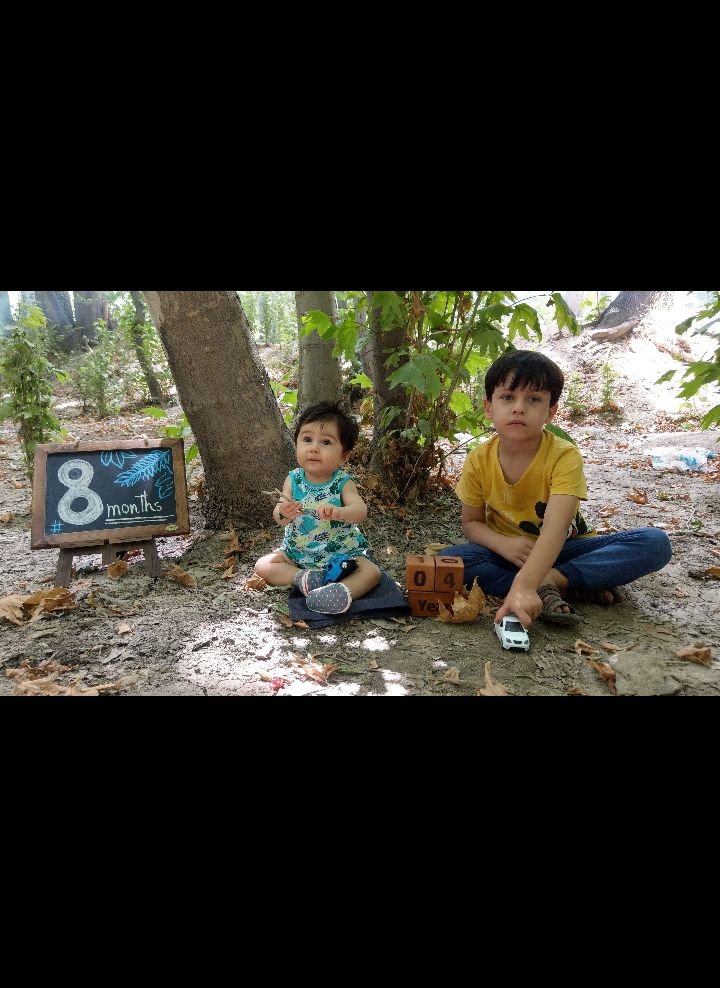 ایده امیرعلی