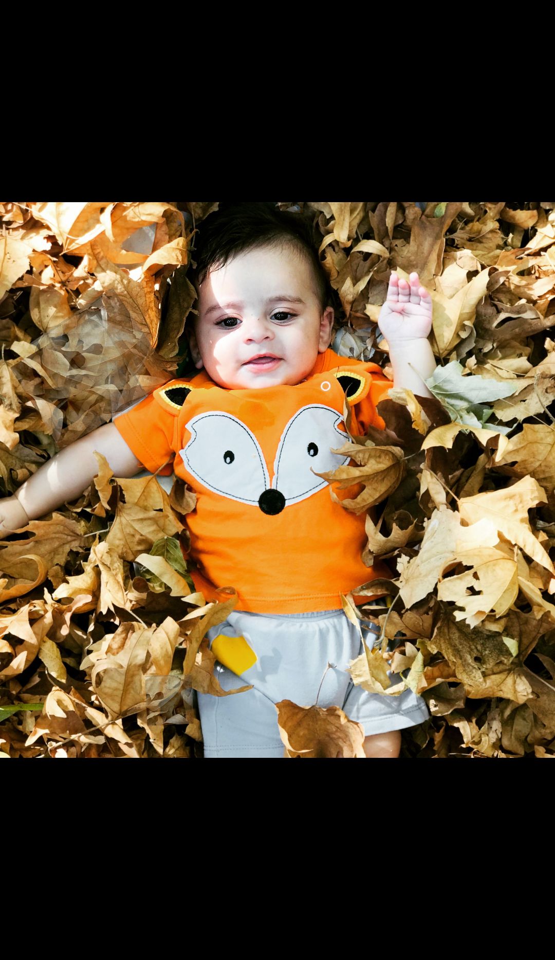 تم عکس زمستانی نوزاد آدین صداقت