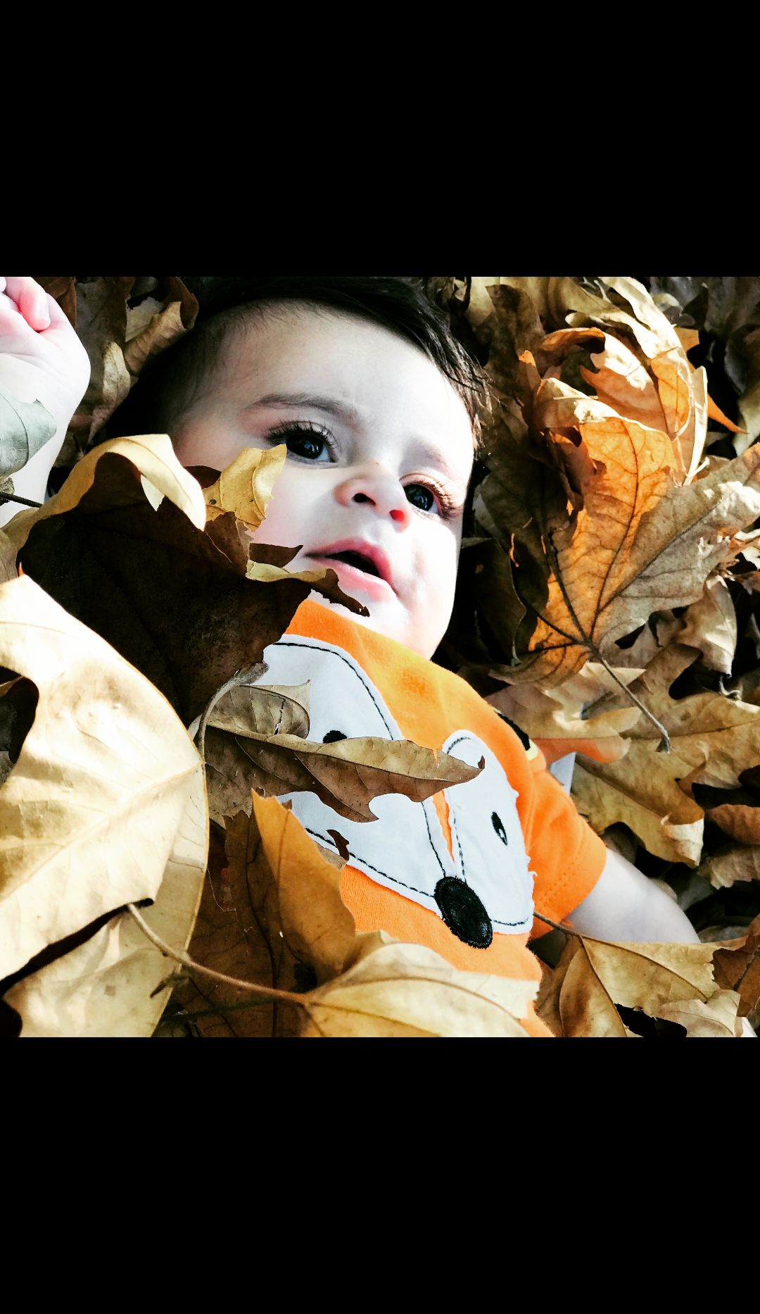 تم عکس پاییزی نوزاد آدین صداقت