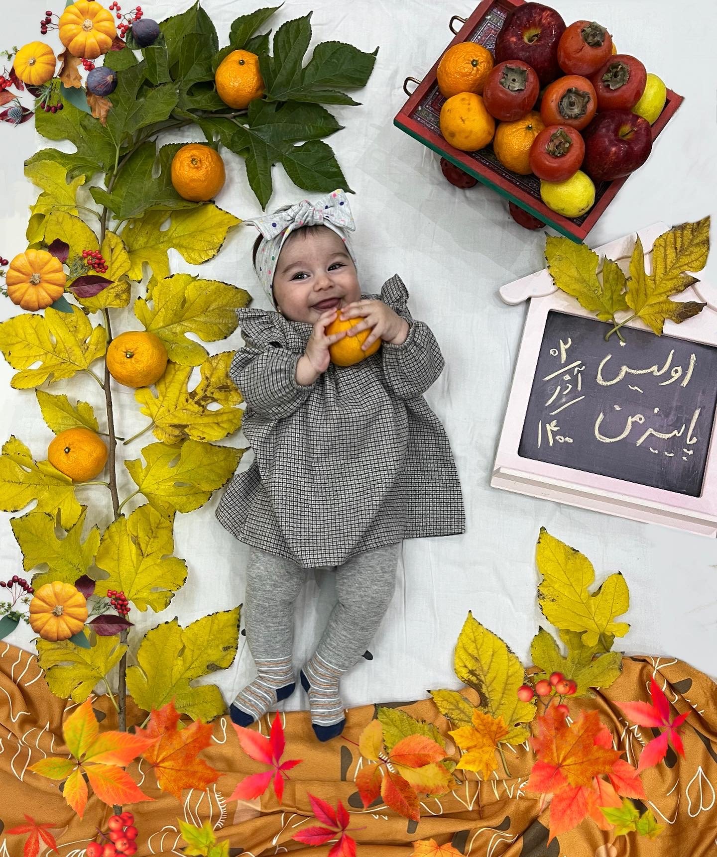 تم عکس پاییزی نوزاد نوژان شیری دولت آبادی