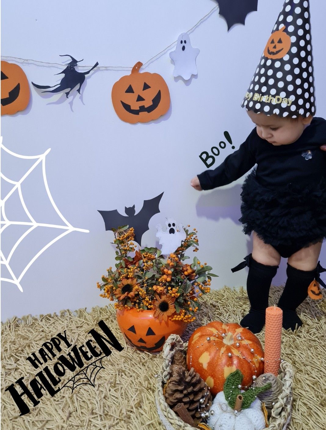 هفت ماهگی نوزاد سلین