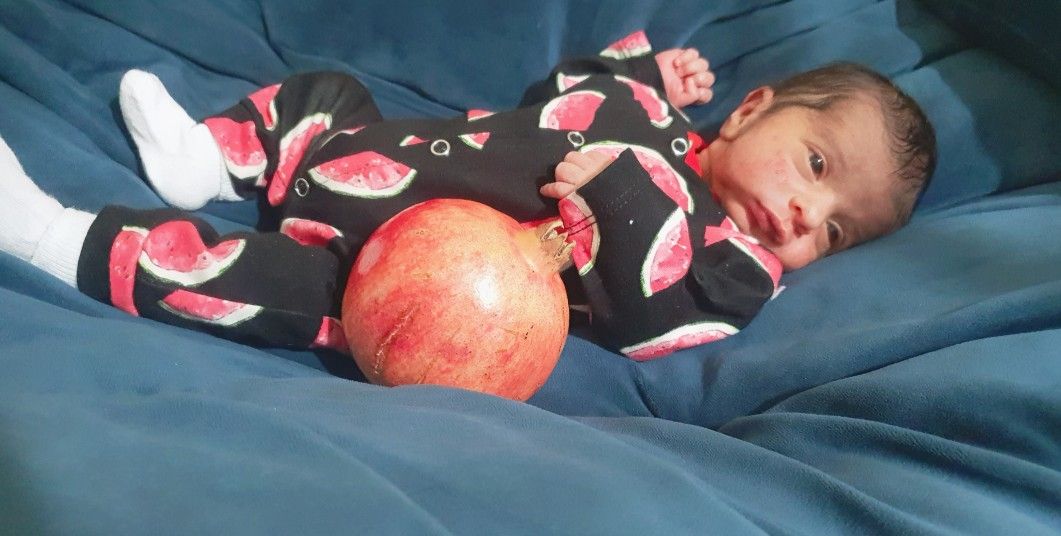 3روزگی آیکان