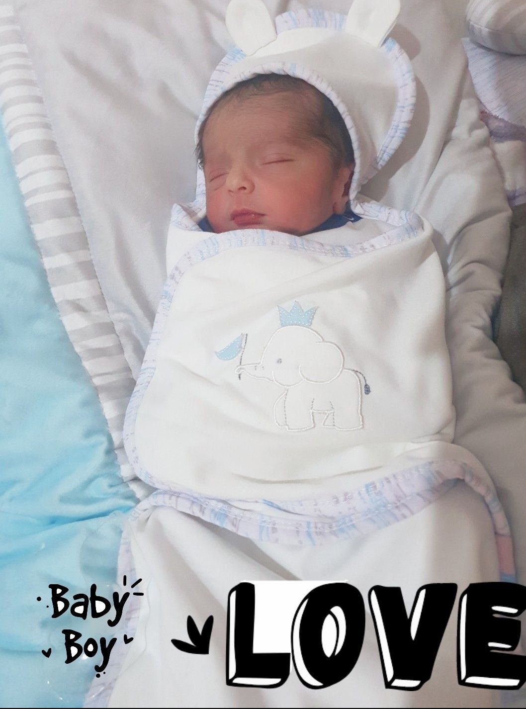 عکس-پاییزی آیکان