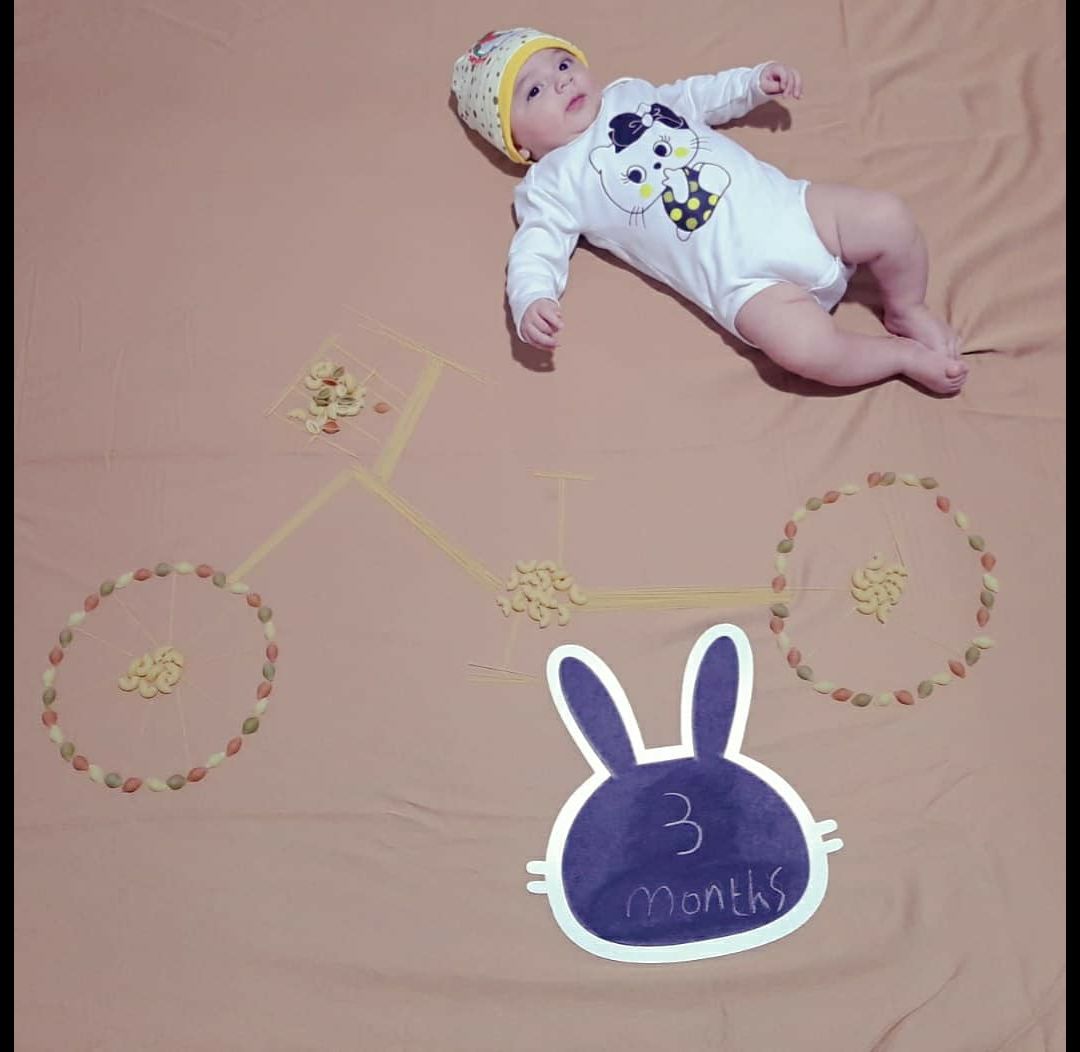 تخته-سیاه-خرگوشی-47321